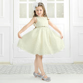 Girls Toddler/Little Kid Jada Dress Mary Jane Pumps Bow Low Heels Party Wedding Princess Shoes