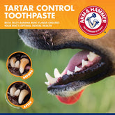 for Pets Tartar Control Kit for Dogs | Contains Toothpaste, Toothbrush & Fingerbrush | Reduces Plaque & Tartar Buildup, 3-Piece Kit, Banana Mint Flavor