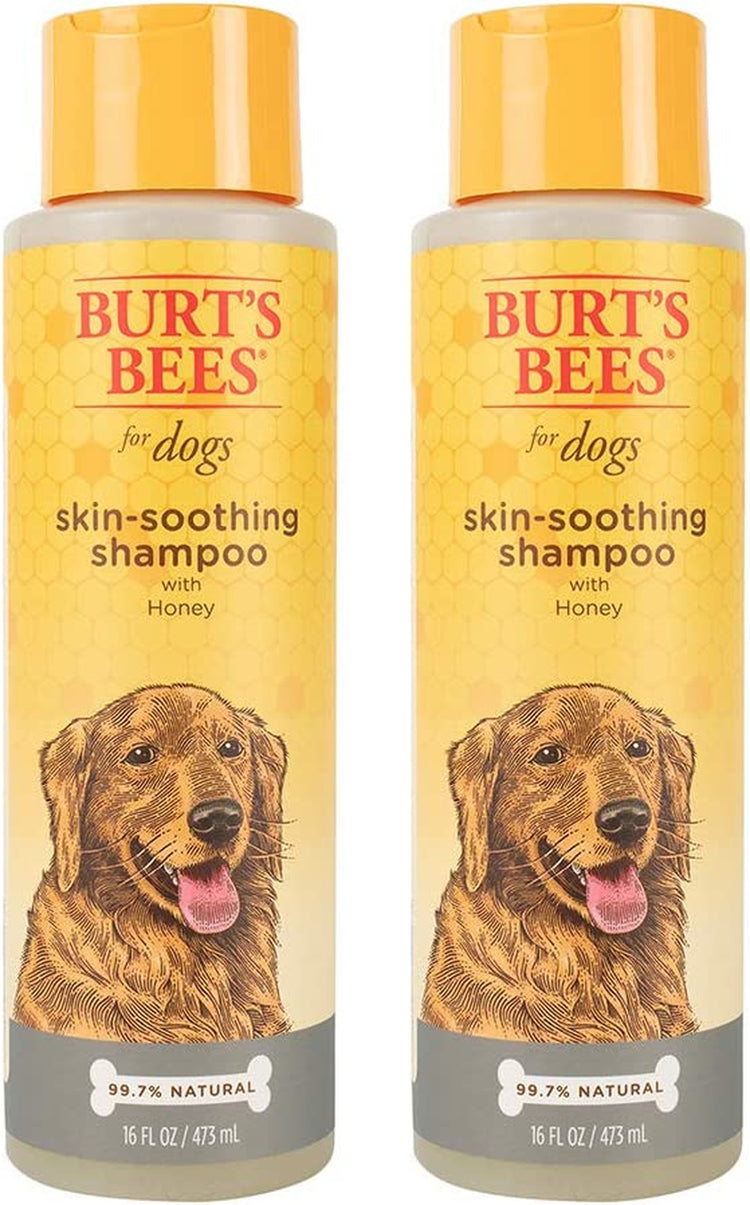 Naturally Derived Skin Soothing Shampoo with Honey - Dog Shampoo for All Dogs and Puppies - Safe for Dogs with Dry and Sensitive Skin - Made in USA, 16 Ounces