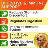 Probiotics Chews for Dogs & Digestive Enzymes + Digestion & Gut Health Treats, Probiotics for Dogs, Fiber Supplement, anti Diarrhea, Constipation, Upset Stomach&Gas Relief,Canine Prebiotic