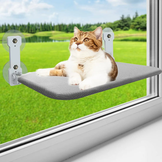 Cat Window Perch,  Kitten Hammock & Shelf for Wall ,Foldable Pet Beds for Indoor Cat, Gray.